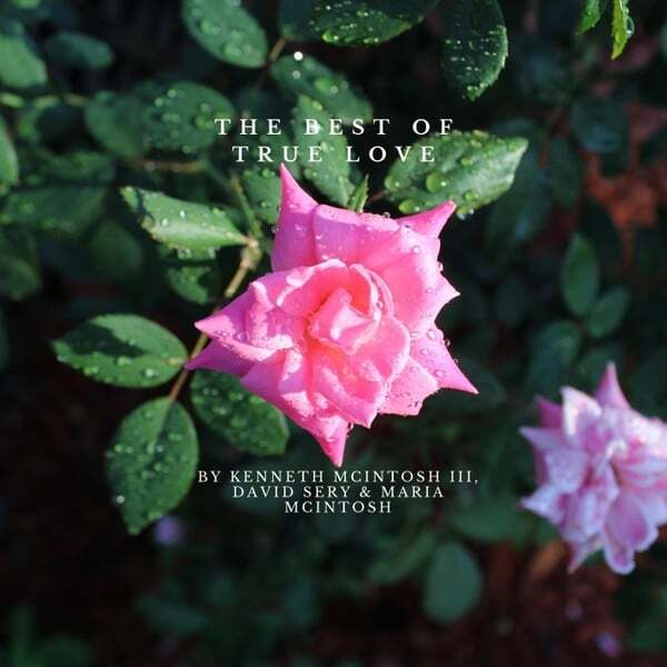 Cover art for The Best of True Love